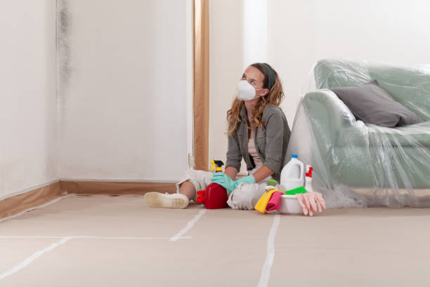 Reliable Mold Remediation contractor in Oakdale, NY by WQB Mold Removal